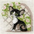 Image of RIOLIS Cornish Rex Kitten Cross Stitch