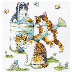 Watering Can Cats