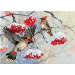 Cross stitch Christmas and Winter Designs