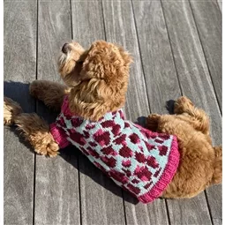 Lion Brand Yarn Vibrant Leopard Dog Sweater Pattern