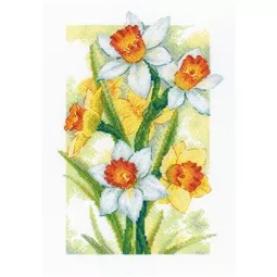Spring Glow - Daffodils