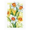 Image of RIOLIS Spring Glow - Daffodils Cross Stitch Kit
