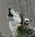 Image of Lanarte Howling at the Stars Cross Stitch Kit