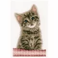 Image of Vervaco Tabby Cat Cross Stitch Kit