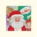 Image of Bothy Threads Jolly Times Card Christmas Cross Stitch Kit