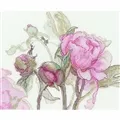 Image of Aine Peonies - Delight Cross Stitch Kit