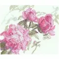 Image of Aine Peonies - Whisper Cross Stitch Kit