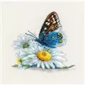 Image of RIOLIS Fragile Beauty Cross Stitch Kit