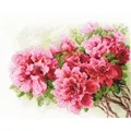 Image of RIOLIS Gorgeous Azalea Cross Stitch Kit