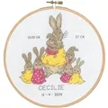Image of Permin Rabbit Birth Sampler Birth Sampler Cross Stitch Kit
