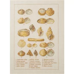 Permin Seashell Sampler Cross Stitch Kit