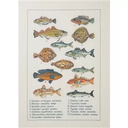 Permin Fish Sampler Cross Stitch Kit