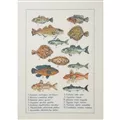 Image of Permin Fish Sampler Cross Stitch Kit