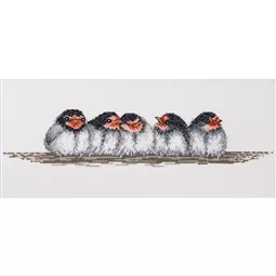 Row of Swallow Chicks