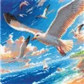 Image of RIOLIS Sea Breeze Cross Stitch Kit