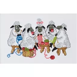 Knitting Sheep