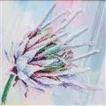 Image of VDV Protea Bloom Embroidery Kit