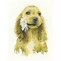 Image of Heritage Daisy Cocker Spaniel Cross Stitch Kit