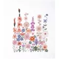 Image of DMC Climbing Flowers Cross Stitch Kit