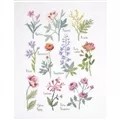 Image of DMC Botanical Sampler Cross Stitch Kit