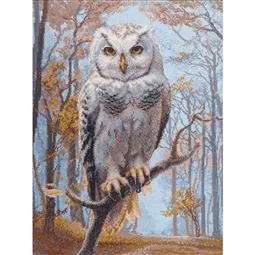 Aine Wildwood Owl Cross Stitch Kit