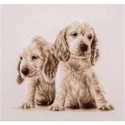 Vervaco Two Puppies Cross Stitch Kit