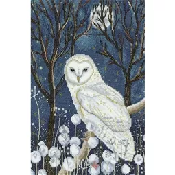 Heritage Spirit Guide Cross Stitch Kit