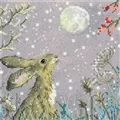 Image of Heritage Berries and Snowflakes Christmas Cross Stitch Kit