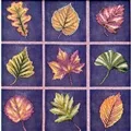 Image of VDV Autumn Leaf Sampler Embroidery Kit