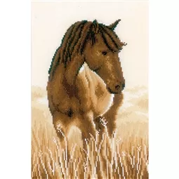Vervaco Horse Cross Stitch Kit