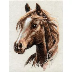 RIOLIS Proud Spirit Cross Stitch Kit