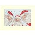 Image of Bothy Threads Santa Selfie Christmas Cross Stitch Kit