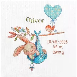 Aine Boy Birth Sampler Birth Sampler Cross Stitch Kit