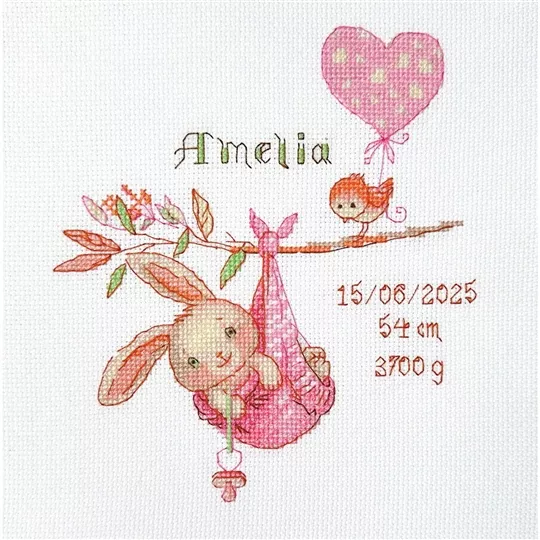 Aine Girl Birth Sampler Birth Sampler Cross Stitch Kit