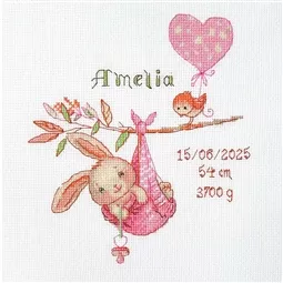 Aine Girl Birth Sampler Birth Sampler Cross Stitch Kit