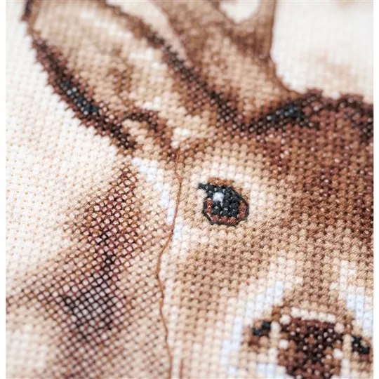 Photo 3 of Vervaco Deer Cross Stitch Kit Image 3 of Vervaco Deer Cross Stitch Kit