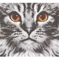 Image of Vervaco Cat in Close-Up Cross Stitch Kit
