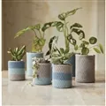 Image of DMC Peaceful Plant Pots Crochet Kit