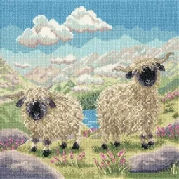 Kit Biglietto Auguri Punto Croce Bothy Threads 'You'll Do' Con Tela Aida 16pt E Filati