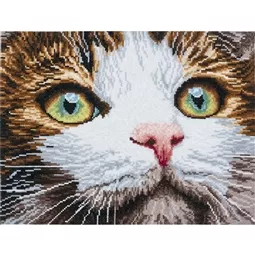 Trimits Whiskers Cross Stitch Kit