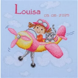 Pink Airplane Sampler