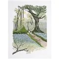 DMC Spring Scenery Cross Stitch Kit