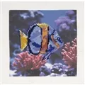 DMC Fish Cross Stitch Kit