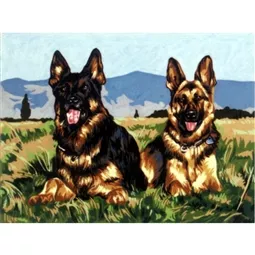 Alsatians