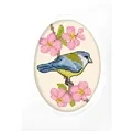 Orchidea Bluetit Greetings Card Cross Stitch Kit