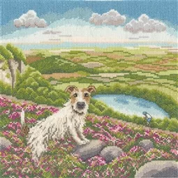 Bothy Threads One Vet and His Dog Cross Stitch Kit
