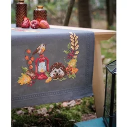 Hedgehog and Robin Runner