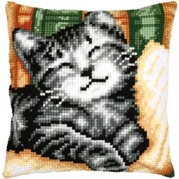 Cat with a Book Cushion
