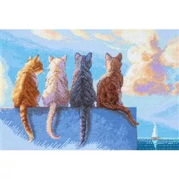 Cats by the Sea