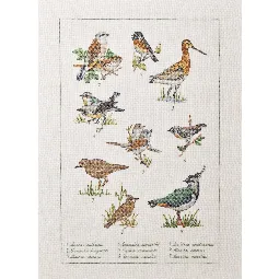 Field Birds on Linen